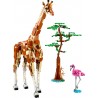 LEGO Creator - Animais Selvagens do Safari (780 pcs) 2024
