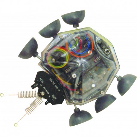 Robô Ladybug - com sensores IR - C9812