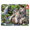 PUZZLE 1000 pçs - Tigres Brancos de Bengala (EDUCA) 
