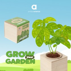 ambarscience - Grow your Garden - Manjericão
