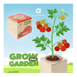 ambarscience - Grow your Garden - Tomate